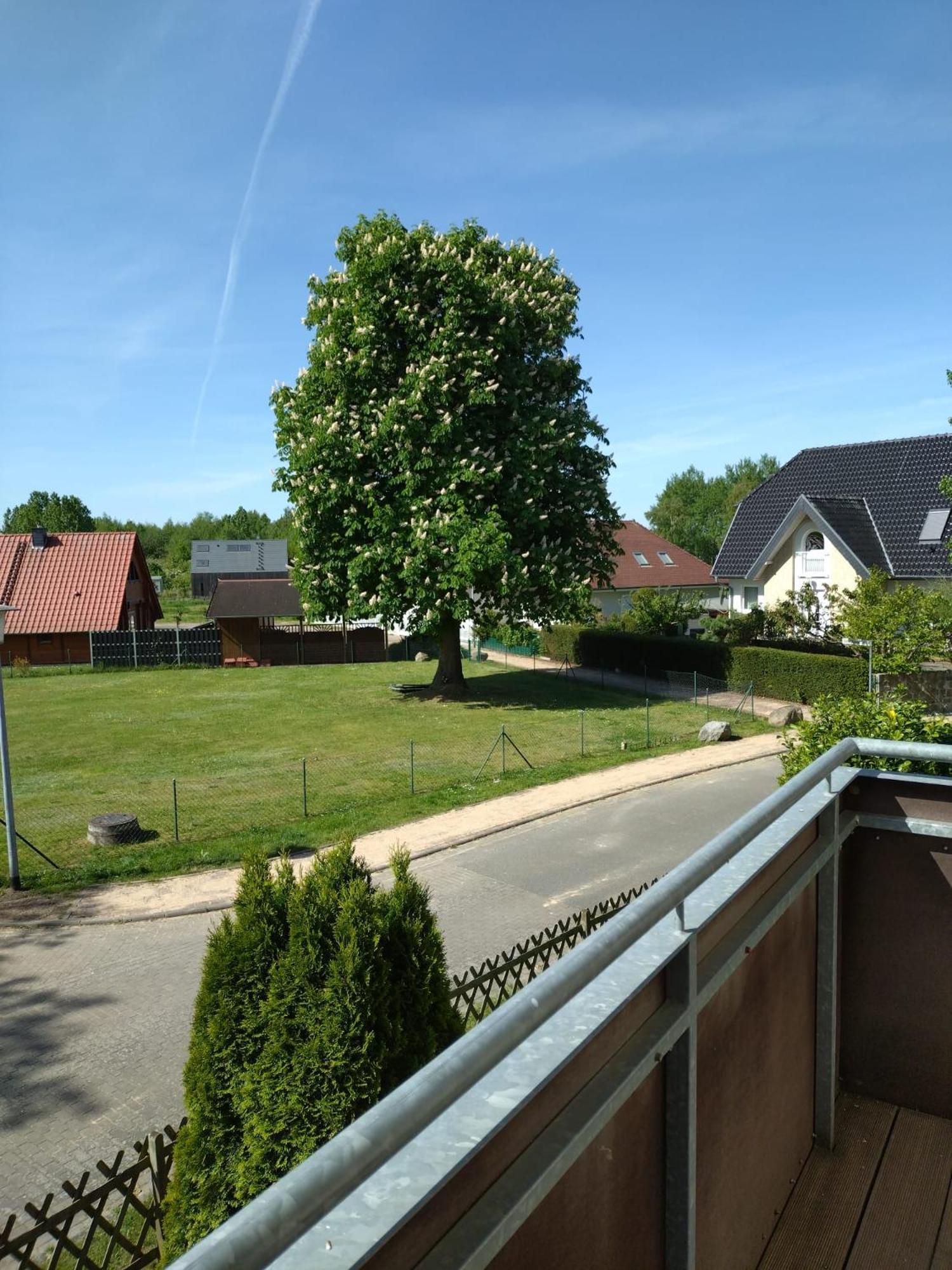 Ferienhaus Rechlin See Kültér fotó